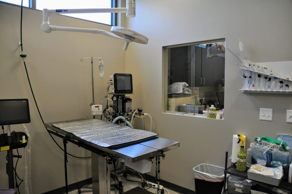 Deer Creek Animal Hospital Operating Room